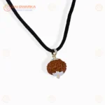 Original 10 Mukhi Java Rudraksha Pendant with Silver Cap – Sacred Ten Face Locket for Divine Protection & Spiritual Balance - Image 4