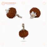 Original 10 Mukhi Java Rudraksha Pendant with Silver Cap – Sacred Ten Face Locket for Divine Protection & Spiritual Balance - Image 2