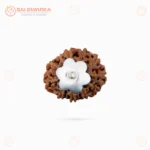 Original 11 Mukhi Java Rudraksha Pendant with Silver Cap – Sacred Eleven Face Locket for Courage, Protection & Spiritual Growth - Image 5