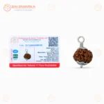 Original 11 Mukhi Java Rudraksha Pendant with Silver Cap – Sacred Eleven Face Locket for Courage, Protection & Spiritual Growth - Image 3