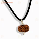 Original 11 Mukhi Java Rudraksha Pendant with Silver Cap – Sacred Eleven Face Locket for Courage, Protection & Spiritual Growth - Image 2