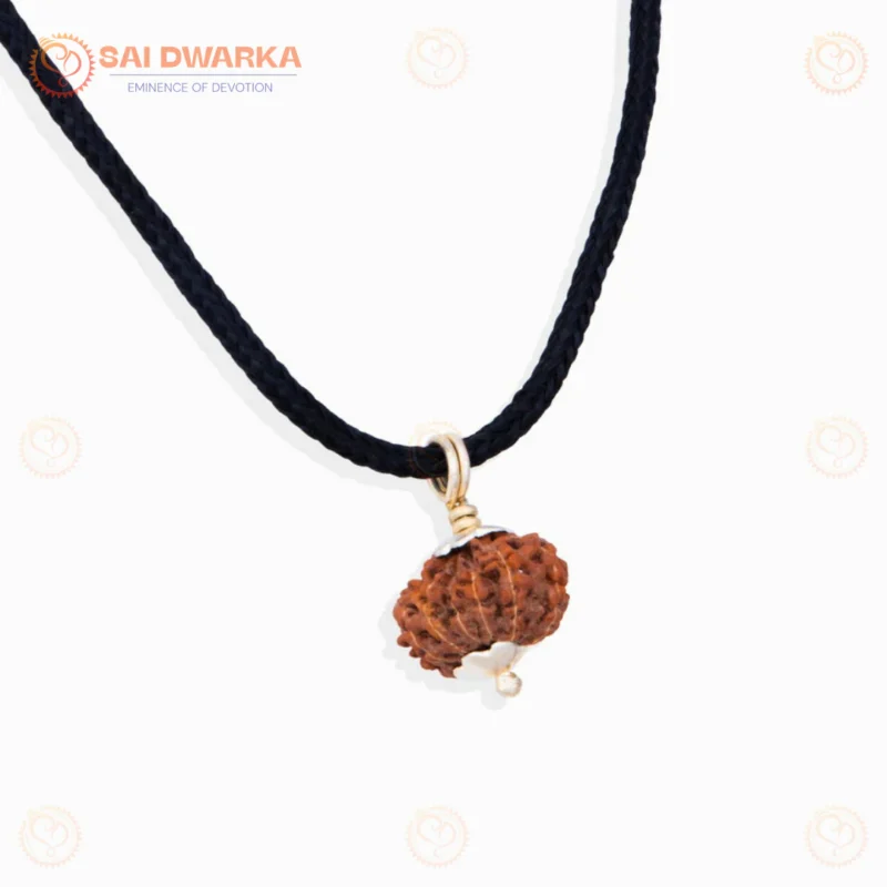 12 Mukhi Rudraksha Pendant