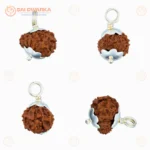 Original 13 Mukhi Java Rudraksha Pendant with Silver Cap – Sacred Thirteen Face Locket for Spiritual Growth & Divine Blessings - Image 3