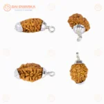 Original 2 Mukhi Rudraksha Pendant with Silver Cap – South Rudraksha Locket for Harmony & Spiritual Balance - Image 2