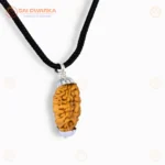 Original 2 Mukhi Rudraksha Pendant with Silver Cap – South Rudraksha Locket for Harmony & Spiritual Balance - Image 4
