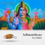Original 2 Mukhi Rudraksha Pendant