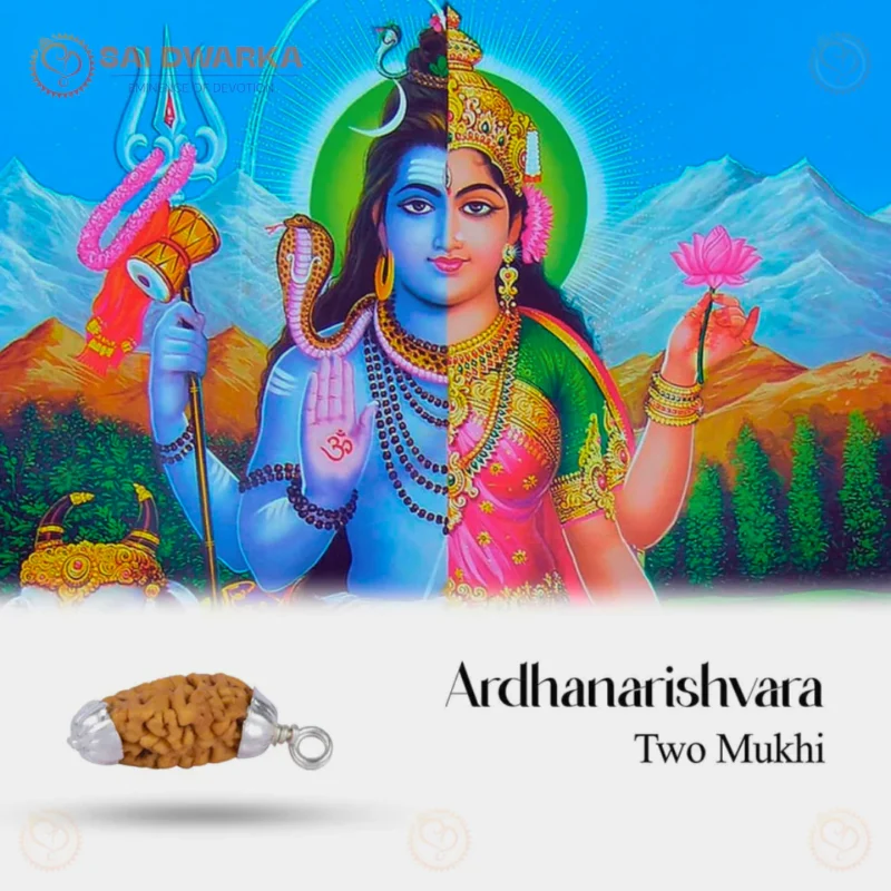 Original 2 Mukhi Rudraksha Pendant