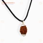 Original 3 Mukhi Rudraksha Pendant with White Cap – Himalayan Rudraksha Locket for Confidence & Spiritual Growth - Image 4