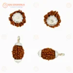 Original 3 Mukhi Rudraksha Pendant with White Cap – Himalayan Rudraksha Locket for Confidence & Spiritual Growth - Image 2