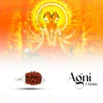 Original 3 Mukhi Rudraksha Pendant