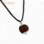 Original 5 Mukhi Nepali Rudraksha Pendant with White Cap – Sacred Panchmukhi Locket for Protection & Spiritual Well-Being - Image 4