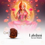 7 Mukhi Rudraksha Pendant