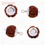 Original 7 Mukhi Nepali Rudraksha Pendant with Silver Cap – Sacred Seven Face Locket for Prosperity, Balance & Spiritual Well-Being - Image 2