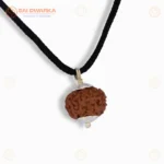 Original 8 Mukhi Java Rudraksha Pendant with Silver Cap – Sacred Eight Face Locket for Success, Wisdom & Spiritual Protection - Image 4