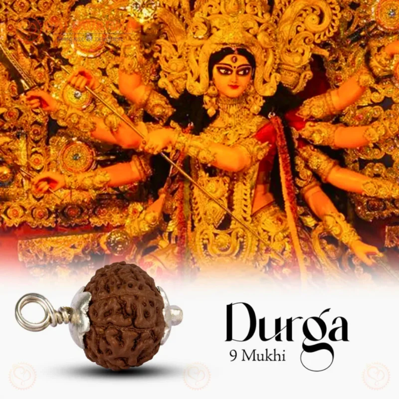 9 Mukhi Rudraksha Pendant