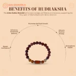 Aries (Mesha Rashi) Zodiac Bracelet – Clear Quartz, Garnet & Blue Lace Agate Gemstone Bracelet (Adjustable) - Image 2