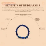 Capricorn (Makar Rashi) Zodiac Bracelet – Sphatik, Tiger Eye, Black Onyx, Fluorite & Rhodonite Gemstone Bracelet (Adjustable) - Image 3