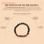 Leo (Singha Rashi) Zodiac Bracelet – Tiger Eye, Carnelian & Citrine Gemstone Bracelet (Adjustable) - Image 3