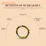 Pisces (Meen Rashi) Zodiac Bracelet – Fluorite, Black Obsidian & Green Aventurine Gemstone Bracelet (Adjustable) - Image 2
